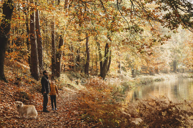 Niño y padre de pie bajo los árboles junto al canal en otoño - foto de stock