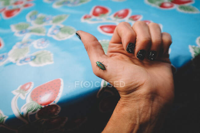 Hübscher bunter Käfer krabbelt auf Frauenhand. — Stockfoto