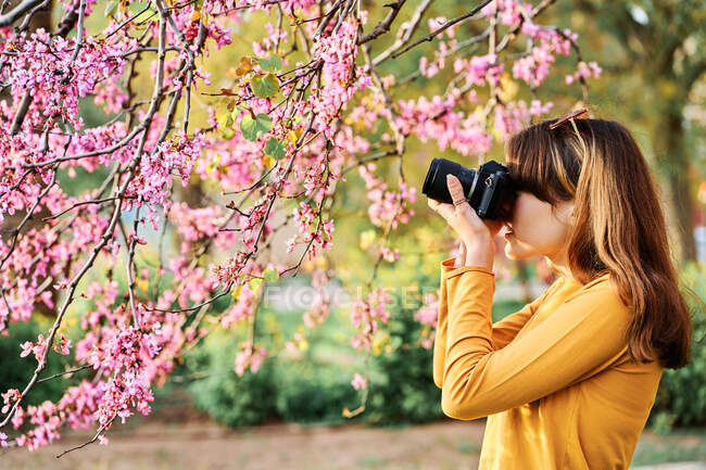 Young girl taking photos of pink tree flowers in the park in spring — Stock Photo