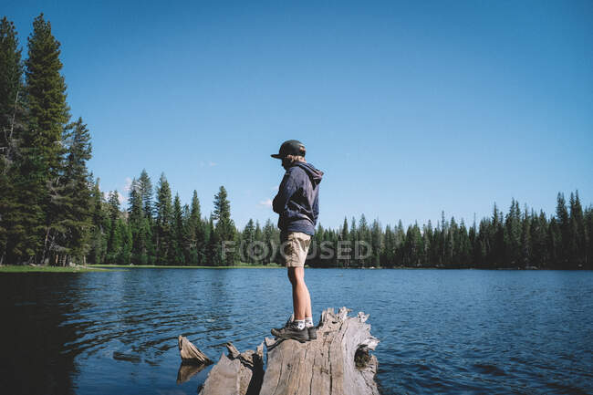 Boy Stands on the tip of fallen tree over a Sierra Lake — Stock Photo
