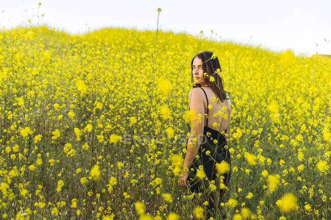Giovane adulto femminile guardando indietro alla fotocamera nel campo giallo di fiori selvatici — Foto stock