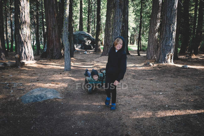 Mujer joven con un perro en el bosque - foto de stock