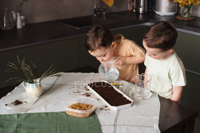 Attività di giardinaggio in cucina per intrattenere i bambini in isolamento — Foto stock