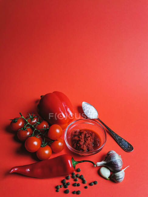 Comida, temperos, alho e uma colher são colocados em um fundo vermelho — Fotografia de Stock