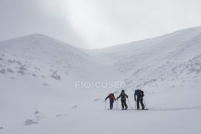 Visão traseira de pessoas com mochilas e pólos de esqui dividindo-se na montanha coberta de neve contra o céu — Fotografia de Stock
