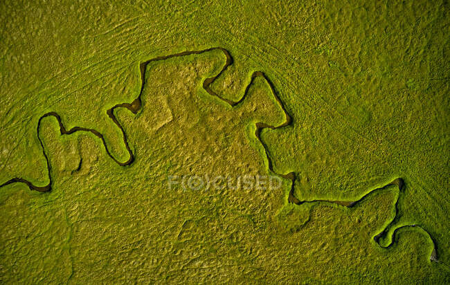 Vue de dessus de la rivière sinueuse qui coule à travers une plaine vert vif dans la nature en Islande — Photo de stock