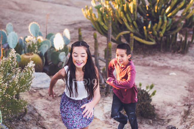 Hermano y hermana jugando etiqueta en un jardín de cactus. - foto de stock