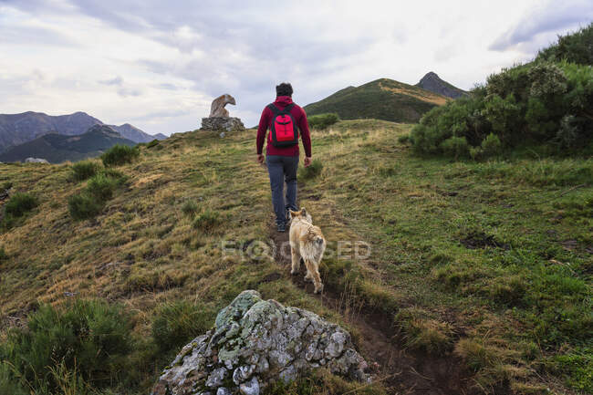 L'uomo che cammina in montagna con un cane in un belvedere dei Picos de Europa — Foto stock