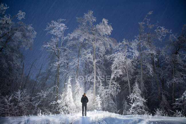 Randonneur en silhouette dans la forêt enneigée du Vermont la nuit — Photo de stock
