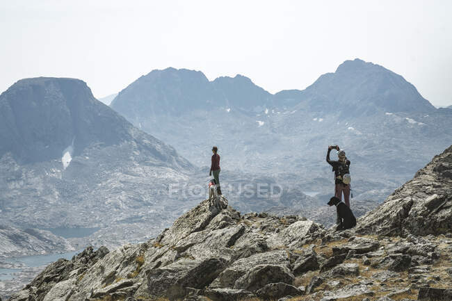 Female friends with dogs at mountain peak while hiking during vacation — Stock Photo