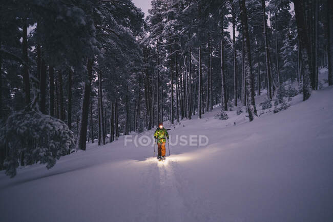 Jeune skieur de l'arrière-pays avec une torche frontale entourée de pins en fin de journée à Sierra de Guadarrama, Espagne — Photo de stock