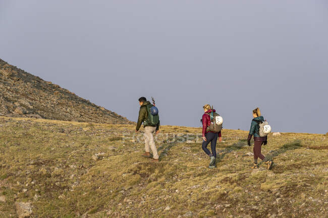 Amigos hombres y mujeres haciendo senderismo juntos en la montaña durante las vacaciones - foto de stock