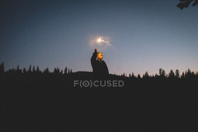 Мальчик, освещаемый Спарклером, стоит в лесу в сумерках — стоковое фото