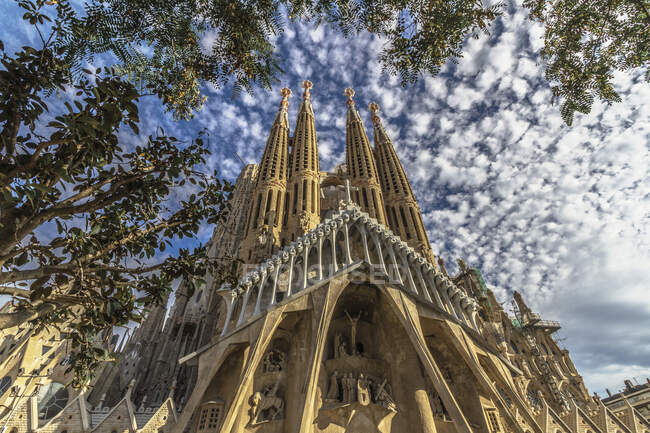 Angolo basso Veduta della Sagrada Familia circondata da foglie d'albero — Foto stock