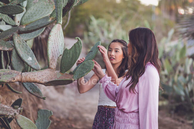 Asiática madre e hija tocando un cactus. - foto de stock