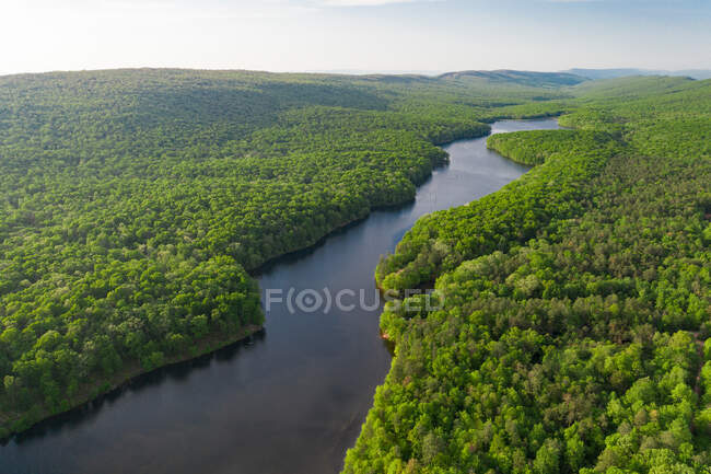 Vista aérea del río en el bosque sobre el fondo natural - foto de stock