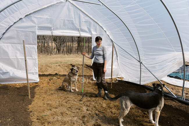 Uma jovem agricultora trabalhando em casa verde pela manhã na primavera — Fotografia de Stock