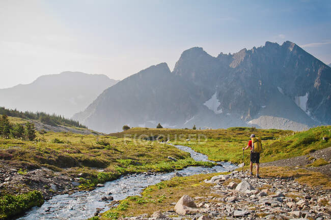 Caminante con caminatas en mochila junto a un tranquilo arroyo en el prado alpino. - foto de stock