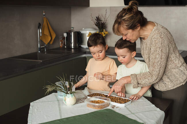 Home gardedning activiy for twin kids with grandmother in the kitchen — Stock Photo