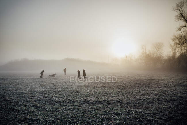 Kinder und Hund spielen bei nebligem Morgen auf Feld — Stockfoto