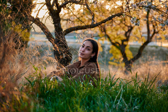 Портрет молодої жінки, що сидить на високих травах на заході сонця — стокове фото