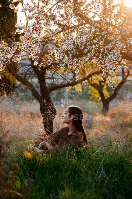 Ritratto di una giovane donna seduta su erba alta al tramonto — Foto stock