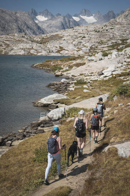 Rear view of female friends backpacking with dogs during vacation — Stock Photo