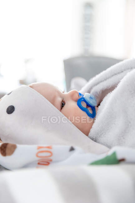 Bebê bonito envolto em cobertores chupando chupeta. — Fotografia de Stock
