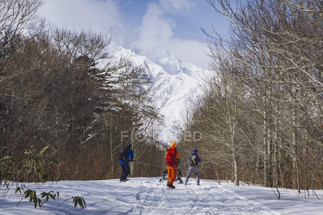 People with splitboards holding ropes towed to snowmobile on snow covered land — Stock Photo