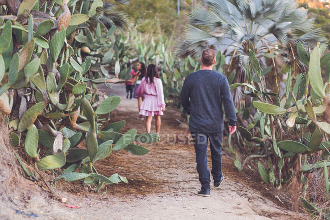 Famille de quatre personnes marchant sur un sentier de cactus - dos à la caméra. — Photo de stock