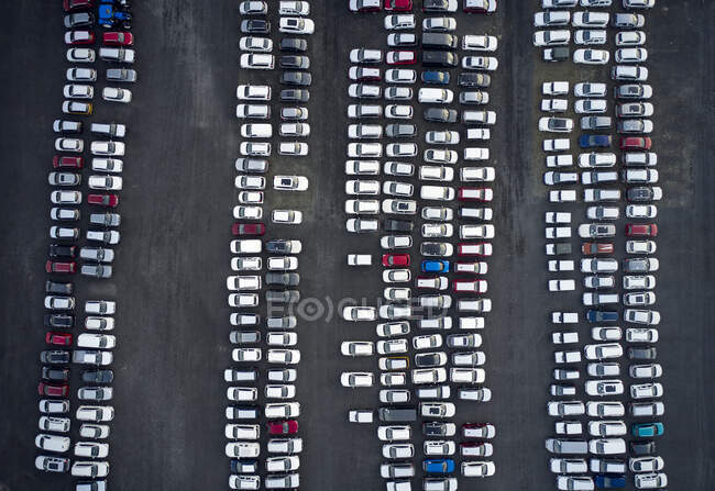 Vista aérea de carros novos estacionados em filas no estaleiro de embarque e armazenamento industrial — Fotografia de Stock