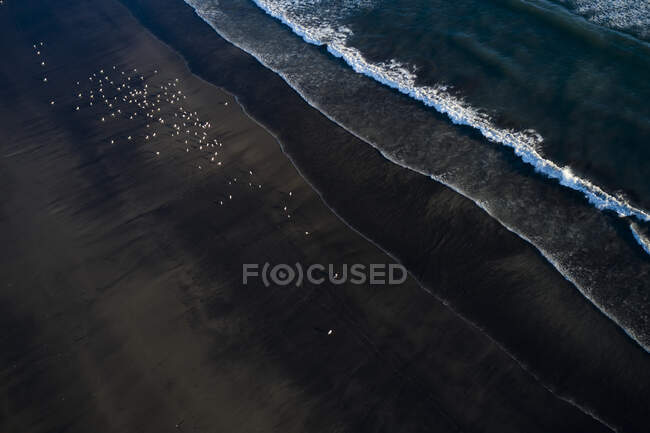 Віддалені маленькі білі птахи на темному узбережжі драматичного океану з пінистими потужними хвилями — стокове фото