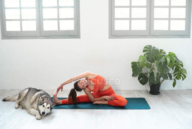 Giovane bella donna che pratica yoga con qui cane — Foto stock