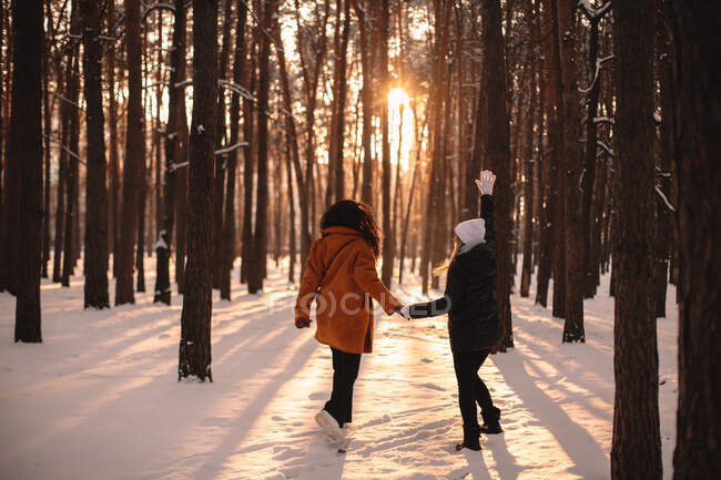 Happy girlfriends holding hands while walking in snow covered park in winter — Stock Photo