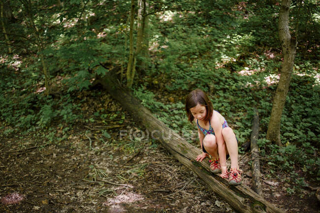 Une petite fille se balance sur un tronc d'arbre tombé dans les bois en été — Photo de stock