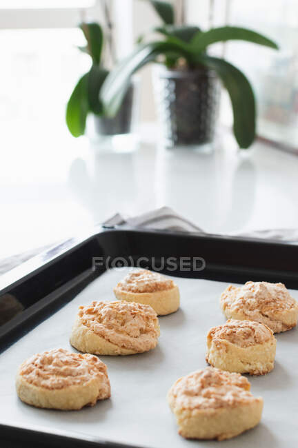 Cookies in a baking sheet on countertop against the window — Stock Photo