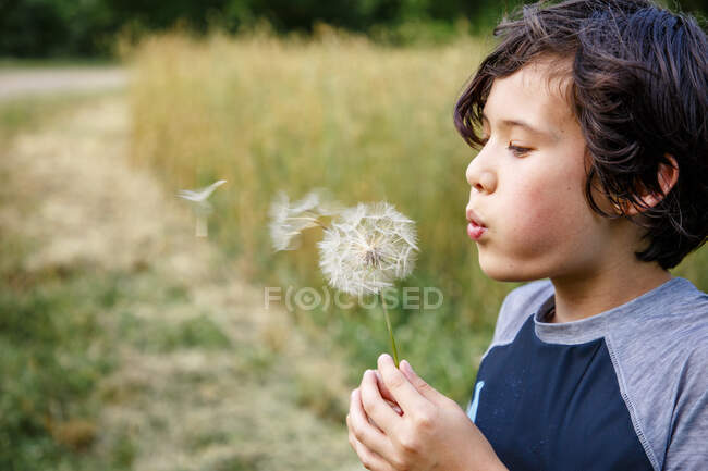 Um menino em um campo gramado sopra sementes de dente-de-leão gigantes no vento — Fotografia de Stock