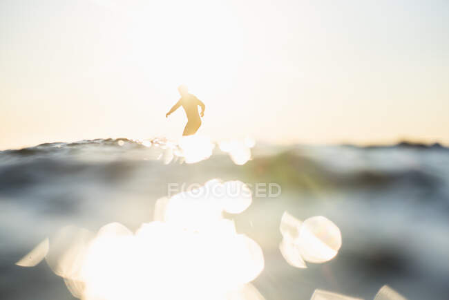 Surfista en la playa del océano, deporte - foto de stock