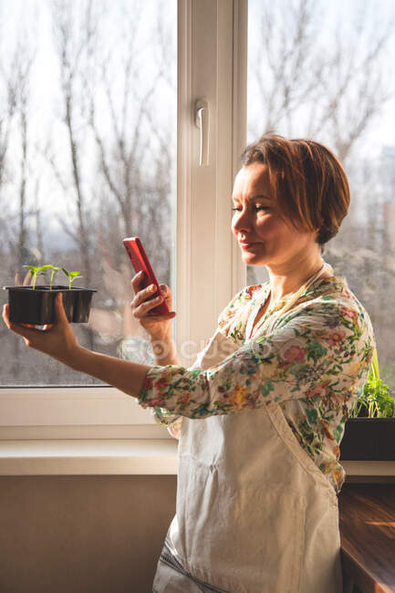 A girl takes pictures on a smartphone of plants, for her blog, which she has grown in her home garden — Stock Photo