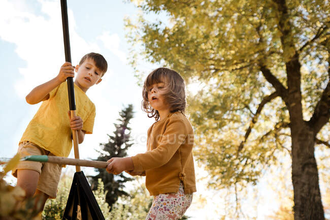 A brother and sister raking leaves together in the fall — Stock Photo