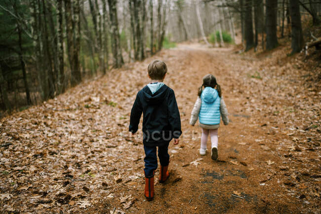 Two kids walking on a path in the woods together during a hike — Stock Photo