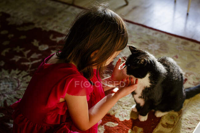 Ein kleines Mädchen in einem Lichtfleck kniet nieder, um ihre Katze zärtlich zu streicheln — Stockfoto