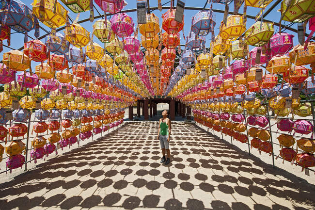 Femme admire les lanternes au temple de Naksansa / Corée — Photo de stock