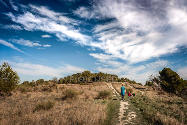 Padre, figlia e cane camminano sulla collina nel sud della Francia in estate — Foto stock