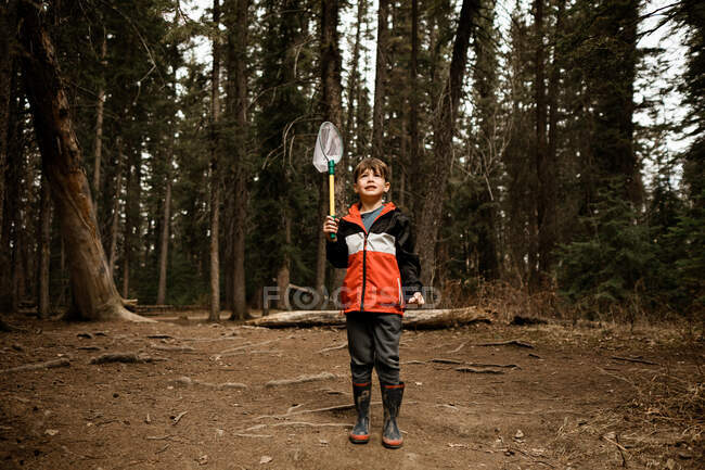 Мальчик держит рыболовные сети в лесу в красной куртке — стоковое фото