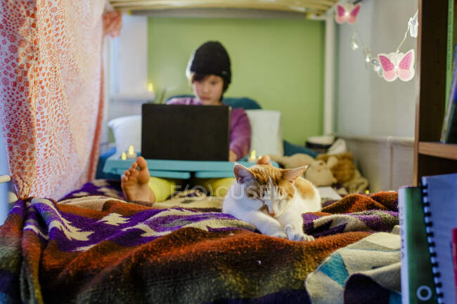 A cat in foreground stretches out on bed with boy on computer in back — Stock Photo