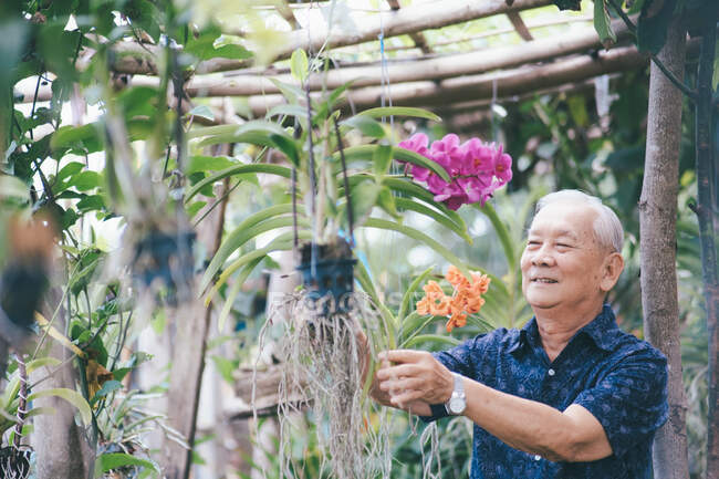 Feliz asiático hombre mayor en su jardín. Feliz edad de jubilación. - foto de stock