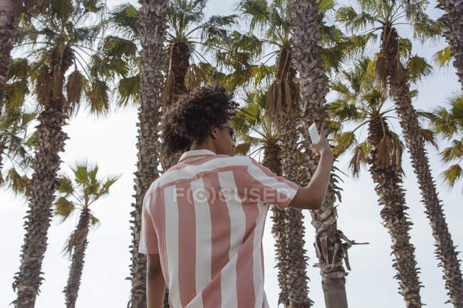 Молодий латинський чоловік з афро волоссям приймає селфі серед пальмових дерев — стокове фото
