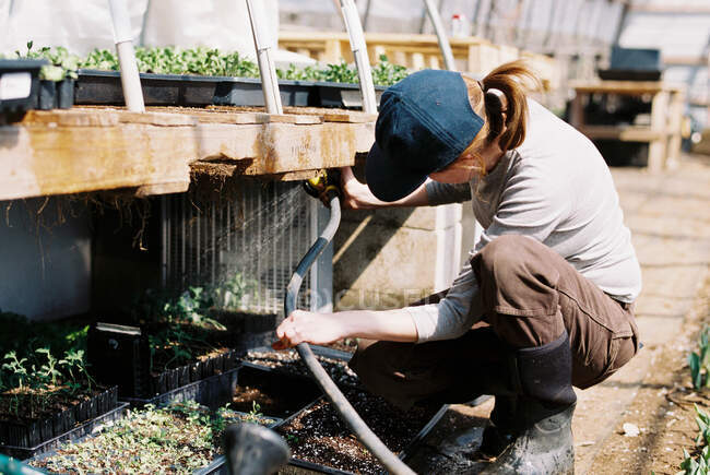 Commercial femelle fleur agriculteur arrosage ses semis avec tuyau — Photo de stock