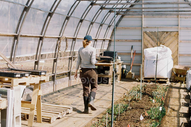 Commercial female flower farmer picking up trays in greenhouse — Stock Photo